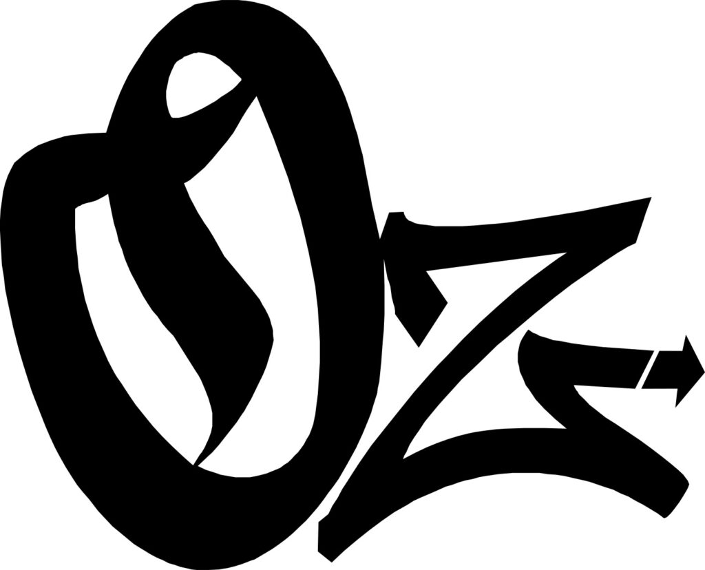 Logo organizador